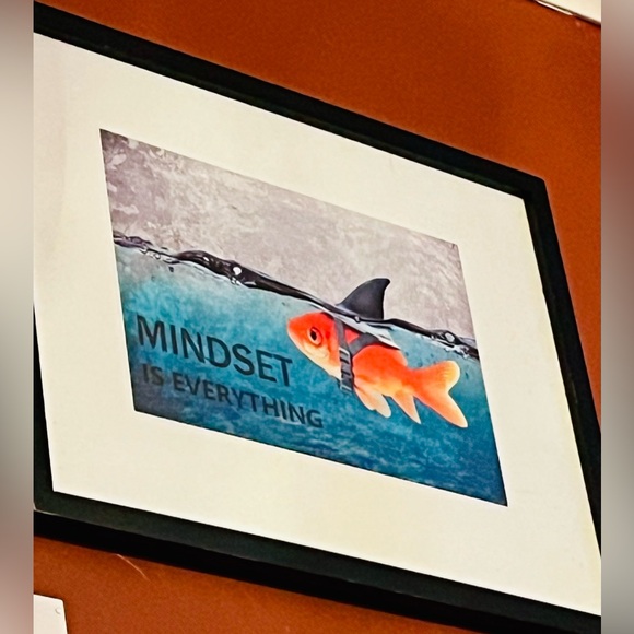 Meet your Posher, Lolly - Picture 11 of 16